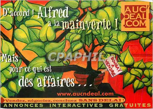 Cartes postales moderne Bonsai a Vendre Vendez Negociez Concluez Sans Delai Annonces Interactives Gratuites Aucndeal.com