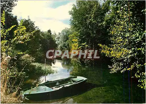 Cartes postales moderne Les Bords de l'Yerres Image de France