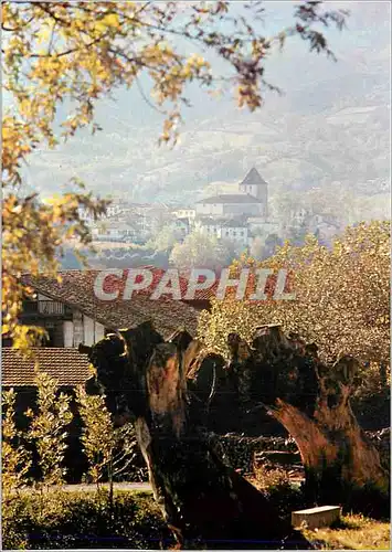 Cartes postales moderne Sare (Pyrenees Atlantiques) Charmant Village de Traditions