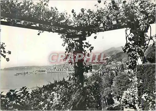 Cartes postales moderne Menton (A M) Vue Generale prise de Garavan