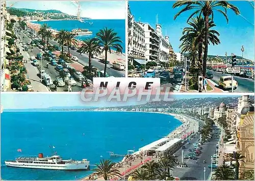 Cartes postales moderne Nice la Cote d'Azur