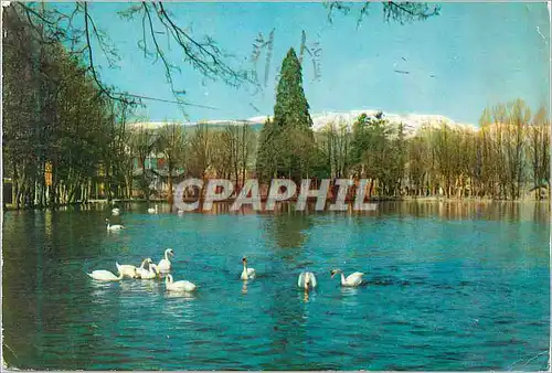 Cartes postales moderne Puigcerda El Lago