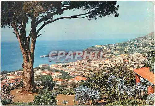 Moderne Karte Madeira View of Funchal from Alto Taken from Bom Sucesso