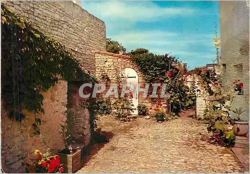 Cartes postales moderne Ile de Re Vieille Cour Rhetaise