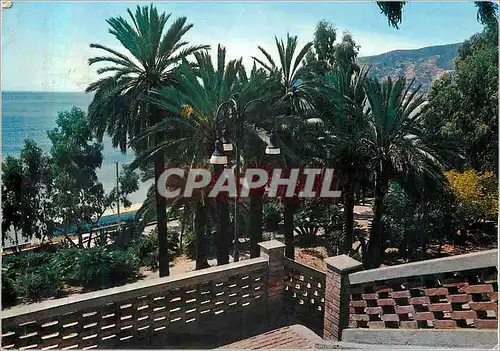 Cartes postales moderne Riviera Ligure Palmiers