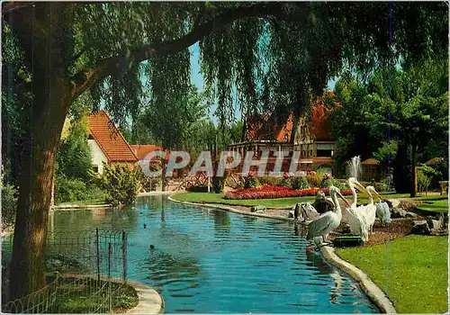 Cartes postales moderne Meli Park Adinkerke de Panne