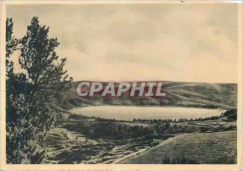 Cartes postales moderne Lac d'Issarles (Ardeche) alt 1000m Vue Panoramique Superficie 91 Hectares