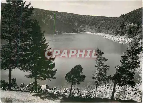 Cartes postales moderne le Lac Blanc (alt 1054m) les Hautes Vosges