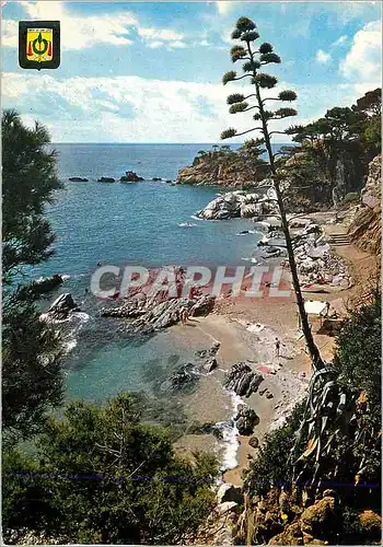 Cartes postales moderne Comptas (Costa Brava) Plage