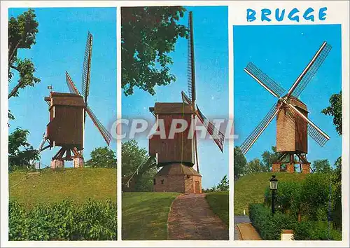 Cartes postales moderne Brugge St Janshuusmolen de Nieuwe Papegaai Bonne Chiere Moulin
