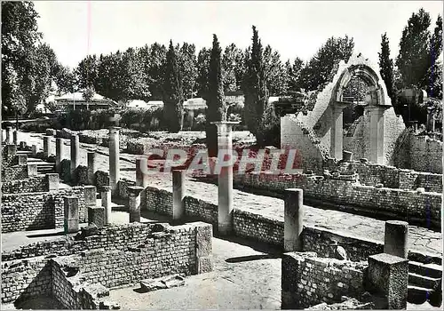 Cartes postales moderne Vaison la Romaine Vestiges Romains Ruines de Glanum