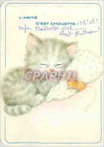 Cartes postales moderne l'Amitie c'est Chouette Chats Chat