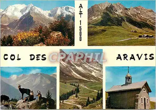 Cartes postales moderne Col des Aravis (1500m) Beaute des Alpes