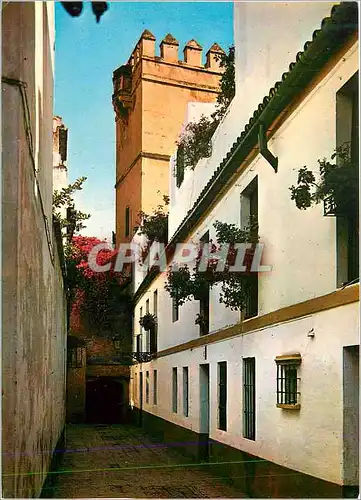 Cartes postales moderne Sevilla Ruelle de Juiverie