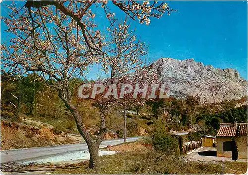 Cartes postales moderne Environs d'Aix en Provence Montagne Sainte Victoire (1011 Metres)