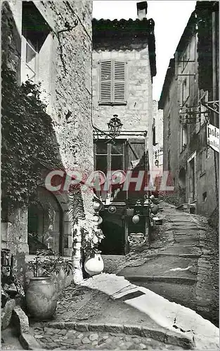 Cartes postales moderne Saint Paul (A M) la Cote d'Azur Provencale un Coin du Village