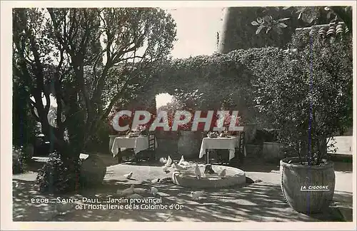 Cartes postales moderne Saint Paul Jardin Provencal de l'Hostellerie de la Colombe d'Or