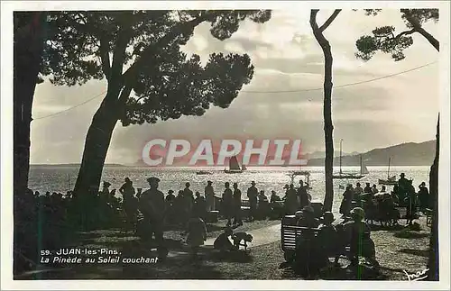 Cartes postales moderne Juan Les Pins La Pinede au Soleil Couchant