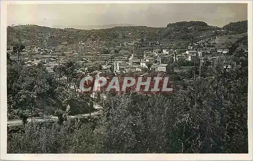 Cartes postales moderne Vallauris Vue Panoramique