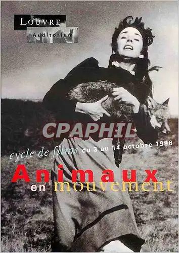 Moderne Karte Louvre Auditorium Cycle de Films du 3 au 14 Octobre 1996 Animaux en Mouvement Renard