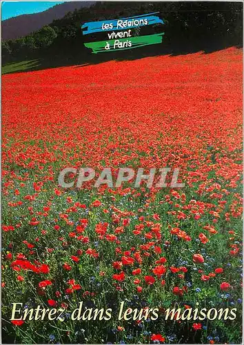 Cartes postales moderne les Maisons Regionales sont a Votre Disposition Toute l'Annee pour vous Informer Vous Conseiller