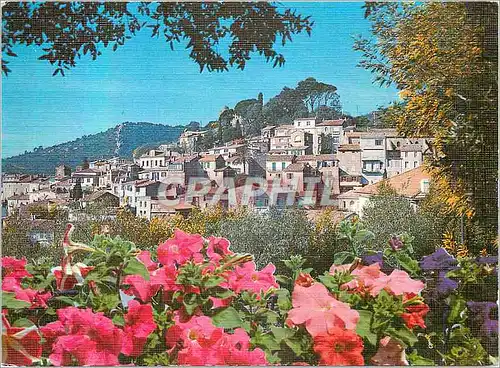 Cartes postales moderne Souvenir de Bormes les Mimosas Lumiere et Beaute de la Cote d'Azur