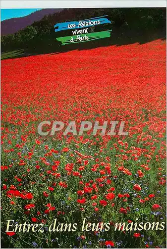 Cartes postales moderne les Maisons Regionales sont a Votre Disposition Toute l'Annee pour vous Informer Vous Conseiller