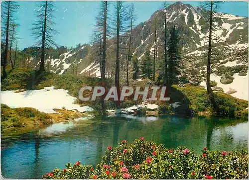 Cartes postales moderne les Environs de St Martin Vesubie Lac des Adus la Cote d'Azur Miracle de la Nature