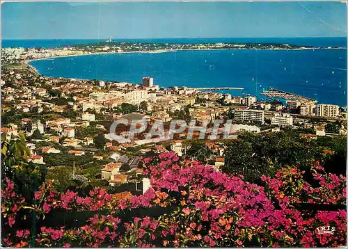 Moderne Karte Golfe Juan la Cote d'Azur French Riviera Vue Generale et la Rade