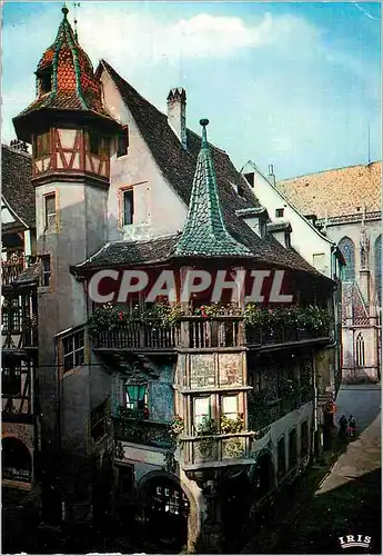 Cartes postales moderne Colmar l'Alsace Pittoresque