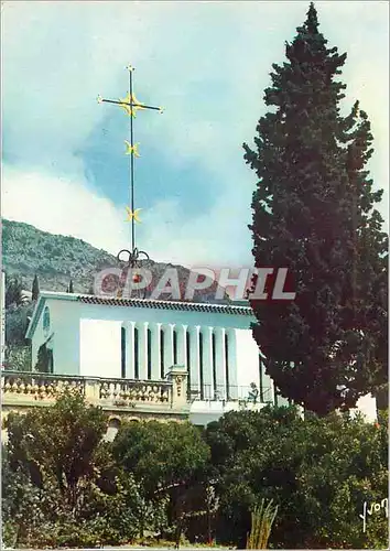 Cartes postales moderne Vence (Alpes Maritimes) Cote d'Azur Miracle de la Nature