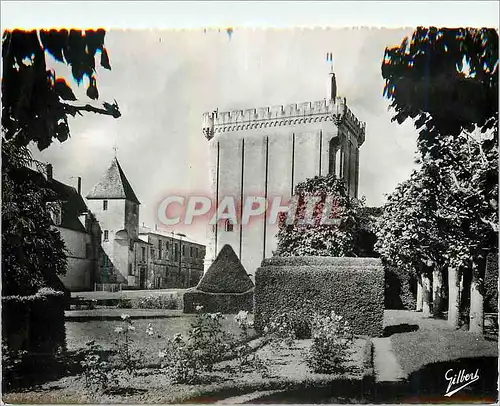 Cartes postales moderne Pons (Chte Mme) Le Donjon et les Jardins