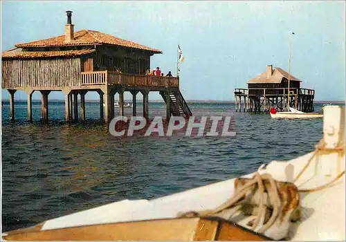 Moderne Karte Bassin d'Arcachon L'Ile aux Oiseaux Maisons sur Pilotis