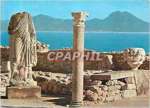Cartes postales moderne Carthage