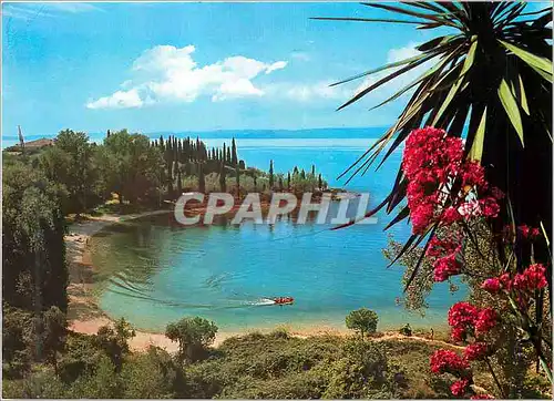 Cartes postales moderne Garda S Vigilio Lac de Garda Baie des Sirenes