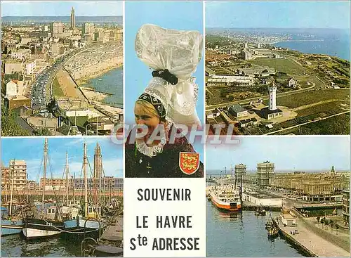 Moderne Karte Souvenir Le Havre Ste Adresse Vue Generale