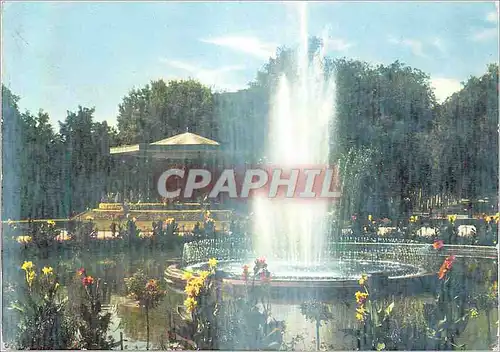 Cartes postales moderne Toulouse Le Jet d'Eau