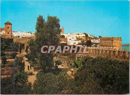 Cartes postales moderne Rabat les Oudaias