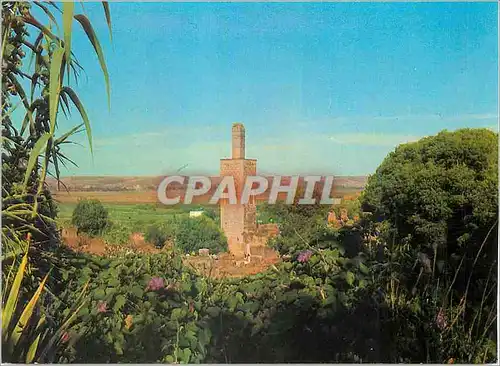 Cartes postales moderne Rabat Le Minaret de la Chellah