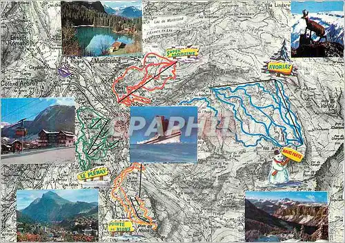 Cartes postales moderne Les Petites de Morzine (Haute Savoie) Alt 1000 m
