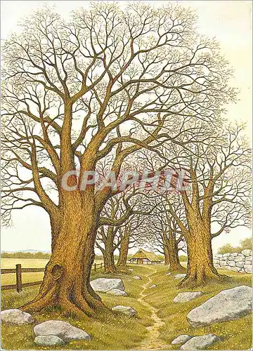 Cartes postales moderne Landscape Von Perra Uhl