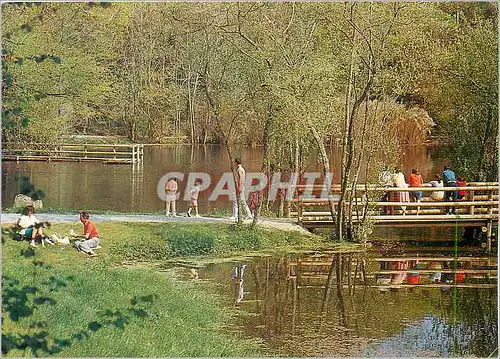 Cartes postales moderne Guilers (Finistere) La Bretagne en Couleurs Promenade dans le Parc du Bois de Keroual