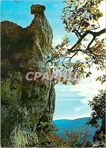 Cartes postales moderne Montpellier le Vieux Sur Le Causse Noir (Aveyron)