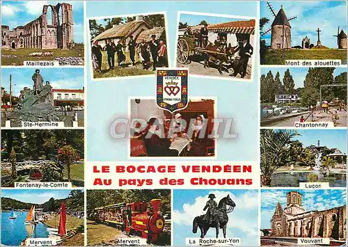 Cartes postales moderne Le Bocage Vendeen Au Pays des Chouans Train Ane Donkey