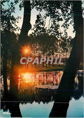 Cartes postales moderne Etang de Sologne Au Petit Matin