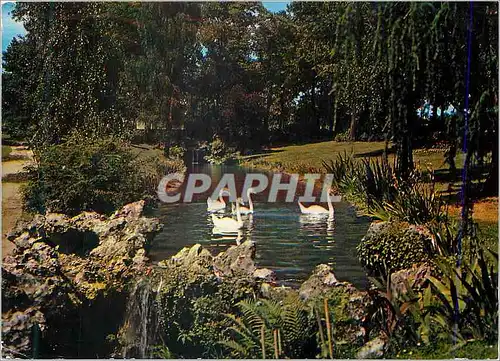 Cartes postales moderne Nantes (Loire Atlantique) Le Jardin des Plantes