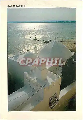 Cartes postales moderne Hammamet Harmonie en Blanc et Bleu
