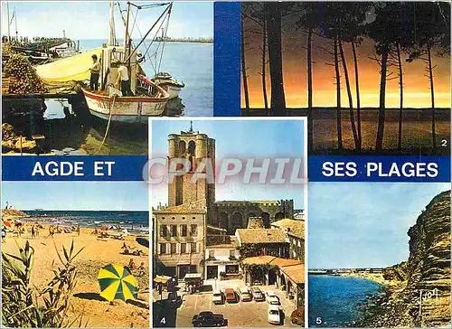 Cartes postales moderne Agde et ses Plages (Herault) Couleurs et Lumiere de France Bateau de peche