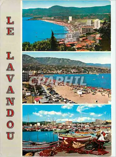 Cartes postales moderne Le Lavandou La Cote d'Azur Vue Generale La Plage Un Coin du Port