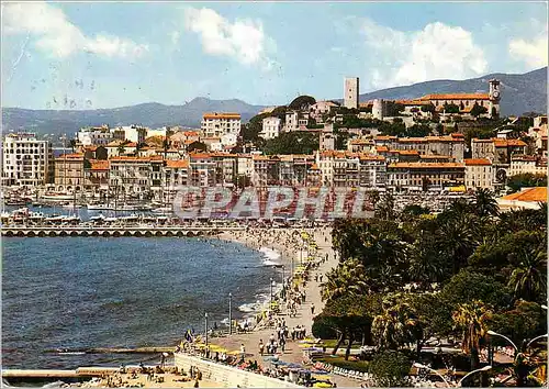 Cartes postales moderne Cannes La Cote d'Azur Le Port et le Suquet